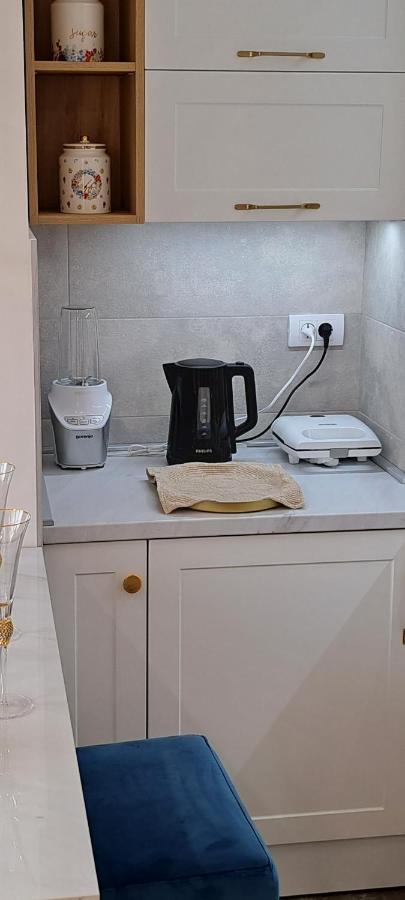 Apartman Rojic ノヴィ・サド エクステリア 写真